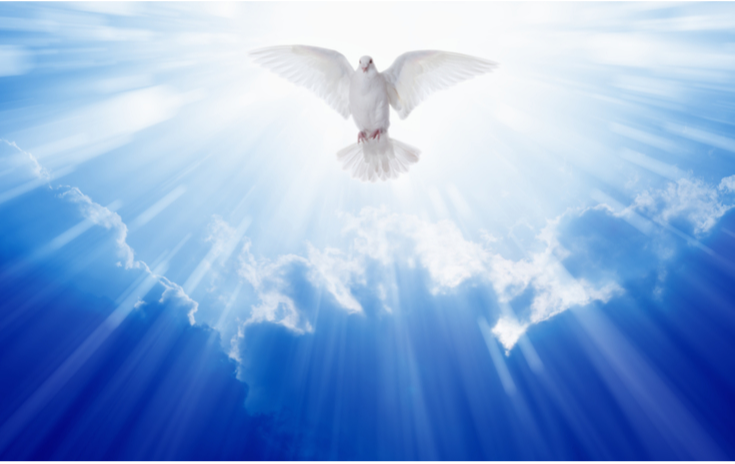 Le Saint-Esprit représentée par une colombe