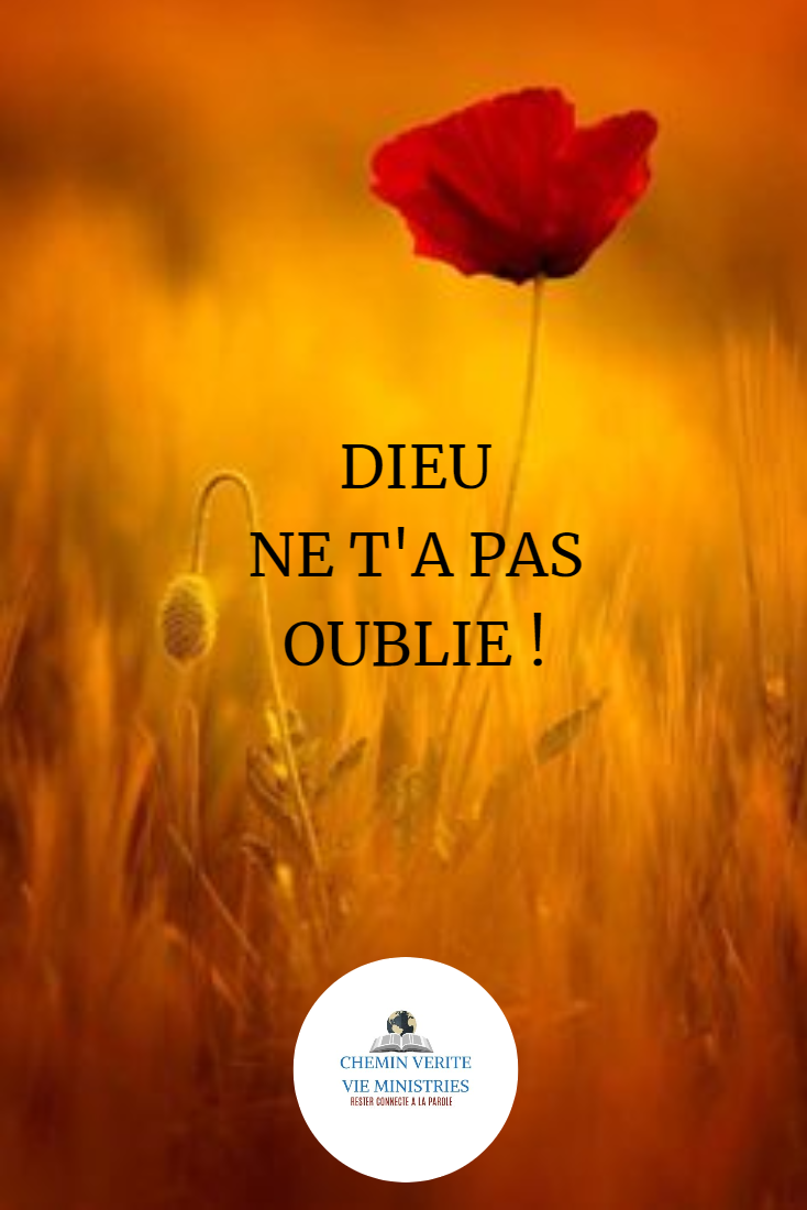 Dieu ne t'a pas oublié